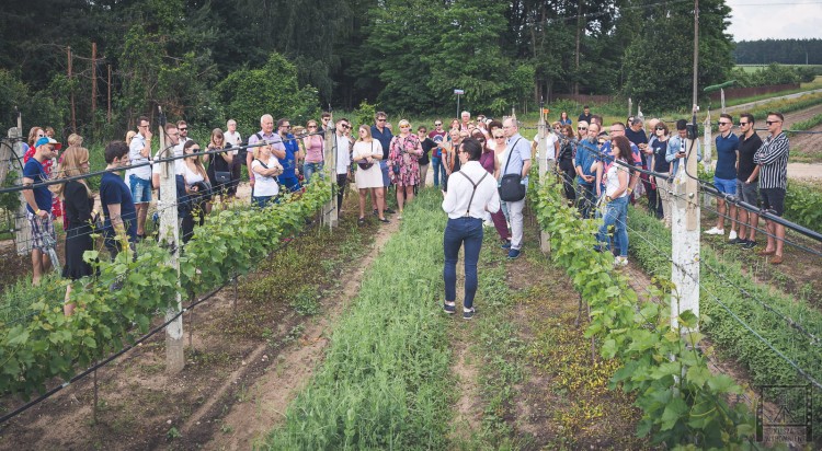 Dwórzno - Święto Wina 20.06.2020-1037.jpg