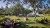 IMG_20200808_165315.jpg