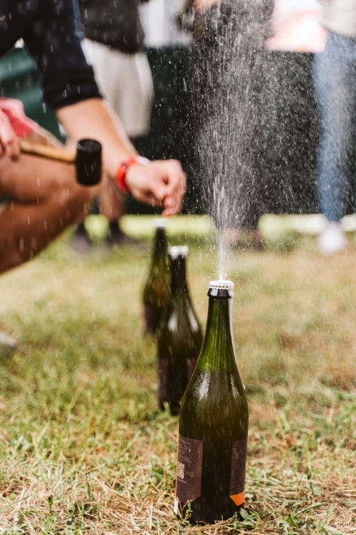 Wino branie338 (Duże).jpg