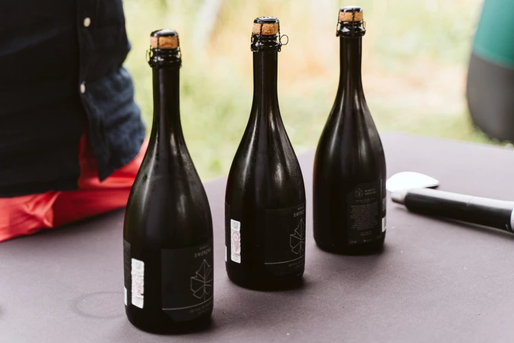 Wino branie328 (Duże).jpg