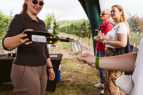 Wino branie155 (Duże).jpg